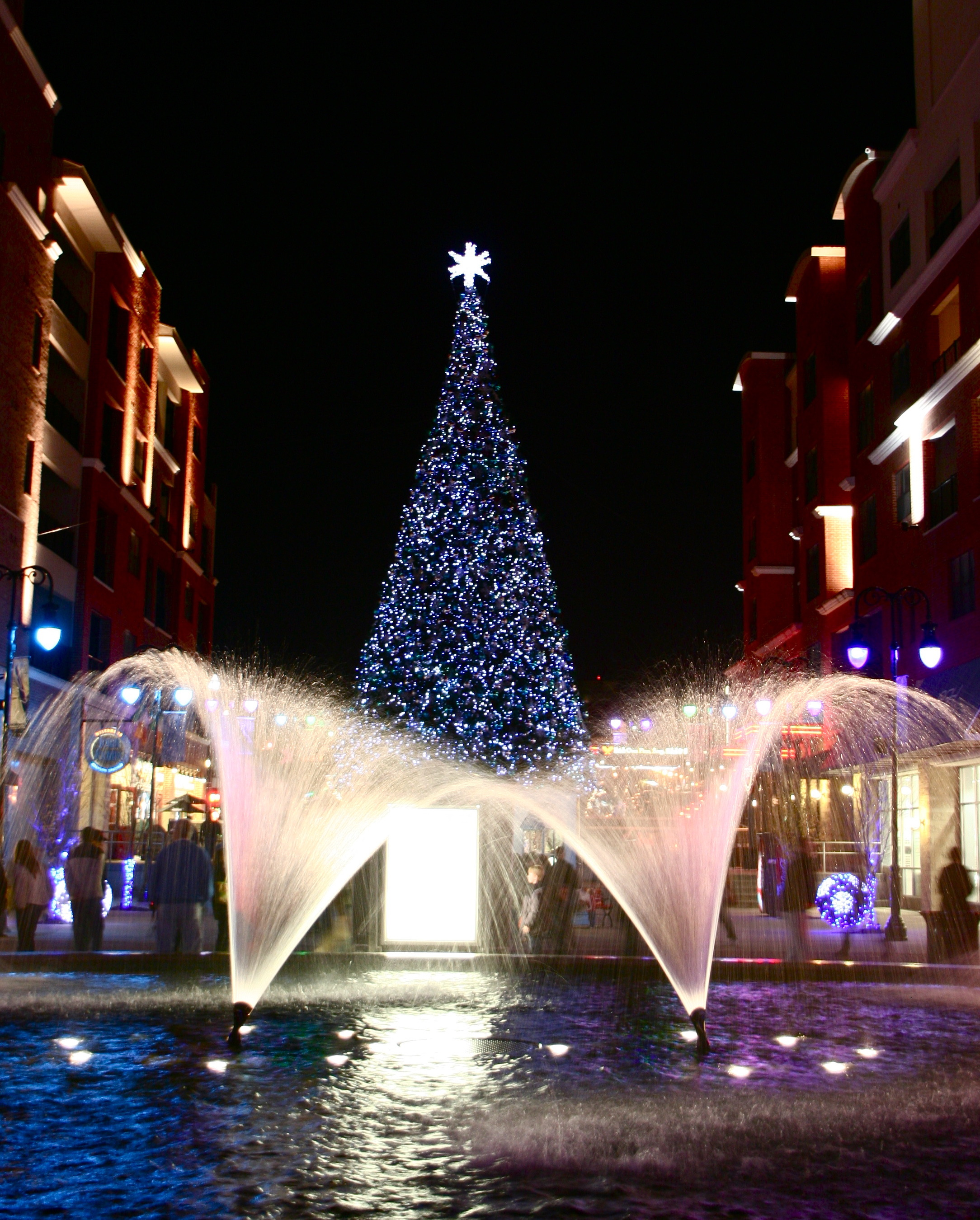branson-xmas-tree.jpg